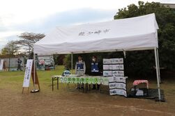 ペット同行避難ブース