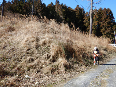 民地に立ち入り、現地を確認