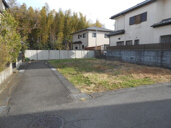 正面