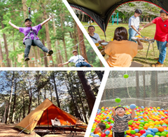 フォレストアドベンチャーの写真